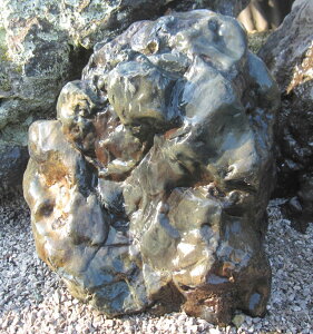 kC KY  R a  뉀 Β i yiԍFy-kur1807-058z