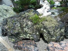 北海道 幸太郎石 庭石 景石 自然石 和風 庭園 飾り石 石庭 【商品番号：y-kur1807-059】
