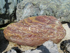 Ԑ  i R a 뉀  Β  VR y-ni114