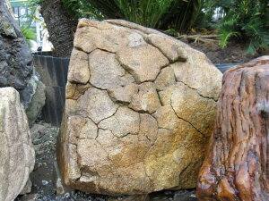 Tb 104 T̍b̂悤Ȋ􉽊w͗l̒   i R a 뉀 Β