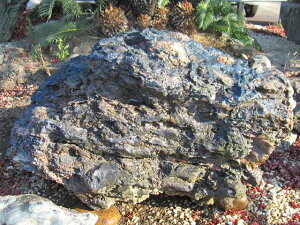 幸太郎石 北海道 庭石 銘石 幸太郎 自然石 和風 飾り石 石庭 景石 y-kur2011-135 天然石 日本 庭園