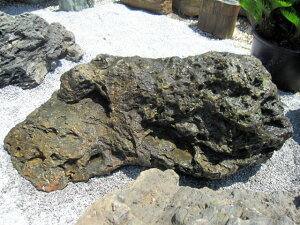 �猬�� ��� ���� �k�C�� �i�� �V�R�� ���R�� �a�� �뉀 ����� �Β� y-kur1707-004