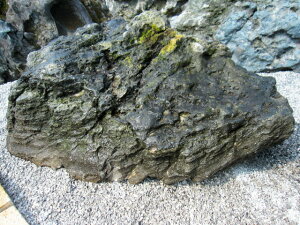 猬   kC i R a 뉀  Β VR y-kur1707-005