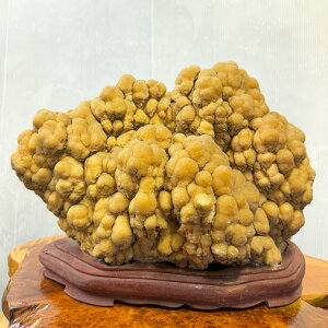 yyVX[p[SALE 20OFF RakutenX[p[SALEz 厩RoBꖳ̐_Ȑ ߓ y42z 26cm 33cm  ߓ R p[Xg[  ~ stalactite t V