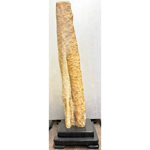 厩RoBꖳ̐_Ȑ ߓ y46z 1m42cm 42cm  R stalactite  ߓ  i ~ t Ř|pI p[Xg[ VR ӏܐ X^N^