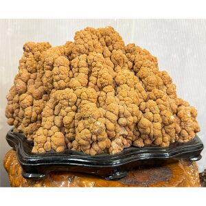 yyVX[p[SALE 20OFF RakutenX[p[SALEz 厩RoBꖳ̐_Ȑ ߓ y21z 23cm 38cm ~  p[Xg[ stalactite  t i  ӏ