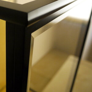 sl` o10 FTsԈߑ l` P[Xʔ hO OKXʎ sl`Ή ̎q i  {l` l`X MMN3207