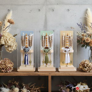 yBF8Ԍ聚ƎP10{11/20-27zj| j  P[X  킢 CeA ǂ  j̎q i qmL j| ʒ ANP[X w l`X MMN2587