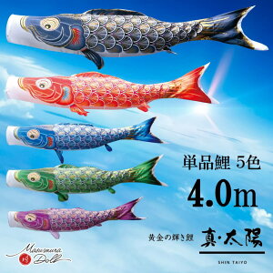 Pi ^z Pîڂ tZbg ̂ڂ i ̂ڂPi H 4.0m Iׂ 5F l`X MMN2577