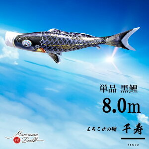 Pi  Pîڂ tZbg ̂ڂ i ̂ڂPi H 8.0m  l`X MMN2568