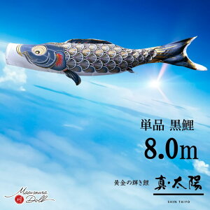 Pi ^z Pîڂ tZbg ̂ڂ i ̂ڂPi  H 8.0m l`X MMN2581