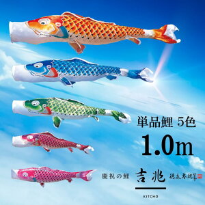 Pig Pîڂ tZbg ̂ڂ i ̂ڂPi g H 1.0m Iׂ 6F l`X MMN2482