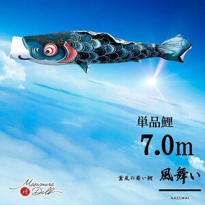 Pi  Pîڂ tZbg ̂ڂ i ̂ڂPi  H 7.0m l`X MMN2539