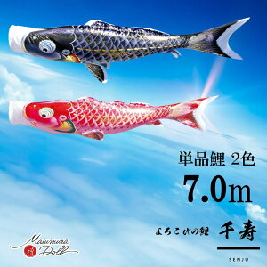 Pi  Pîڂ tZbg ̂ڂ i ̂ڂPi H 7.0m Iׂ 2F l`X MMN2567