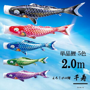 Pi  Pîڂ tZbg ̂ڂ i ̂ڂPi H 2.0m Iׂ 5F l`X MMN2560