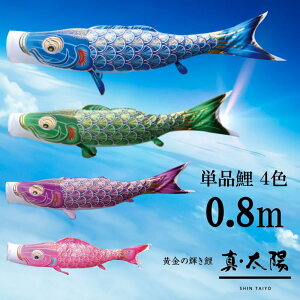 y8Ԍ聚ƎP5-10{11/4-11zPi ^z Pîڂ tZbg ̂ڂ i ̂ڂPi H 0.8m Iׂ 4F l`X MMN2575