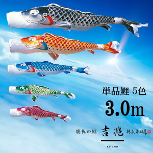 Pig Pîڂ tZbg ̂ڂ i ̂ڂPi g H 3.0m Iׂ 5F l`X MMN2486