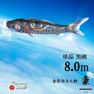 Pi  Pîڂ tZbg ̂ڂ i ̂ڂPi  ɒB@ H 8.0m  l`X MMN2556