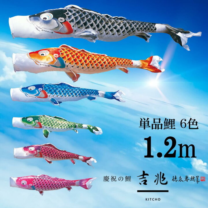 楽天市場】【4日間限定☆P5倍☆4/24-27】単品鯉吉兆 単品鯉のぼり 