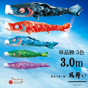 Pi  Pîڂ tZbg ̂ڂ i ̂ڂPi  H 3.0m Iׂ 5F l`X MMN2533