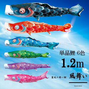 Pi  Pîڂ tZbg ̂ڂ i ̂ڂPi  H 1.2m Iׂ 6F l`X MMN2529