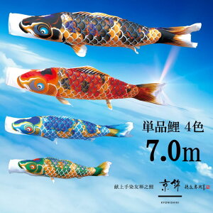 Pi  Pîڂ tZbg ̂ڂ i ̂ڂPi  H 7.0m Iׂ 4F l`X MMN2497