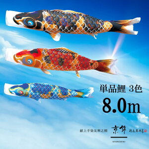 Pi Pîڂ tZbg ̂ڂ i ̂ڂPi  H 8.0m Iׂ 3F l`X MMN2498