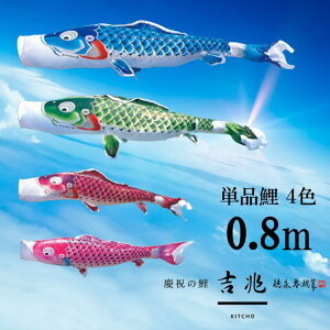 y8Ԍ聚ƎP5-10{11/4-11zPig Pîڂ tZbg ̂ڂ i ̂ڂPi g H 0.8m Iׂ 4F l`X MMN2485