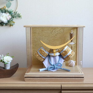 y{ŏIƎP10{11/20-27z܌l` P[X RpNg   CeA  5l` [߂̐ߋ Iׂ 2 ANP[X g g Vo[L`AS[hɒB 