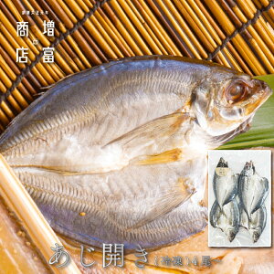 }\Ԓ |Cg5{I Y xX J iⓀj 4 8 12 Y AW Ђ   J Y lߍ킹 ܂Ƃߔ ^pbN a̎R 