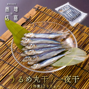 Y xX ߂킵ۊ/銱 iⓀj 280g 560g 840g 1120g 1400g 炩 \tg JC ECV Ђ   Y lߍ킹 ܂Ƃߔ ^pbN a