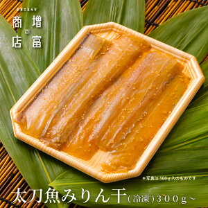 Y xX ݂ (Ⓚj 300g 2P 600g 3P 900g  Ђ   ؂g ^pbN ݂ a̎R