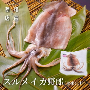 BBQɂ҂I xX XCJY iⓀj 2t 3t 4t 5t 6t 7t 8t 9t 10t Y ߂  a̎R   