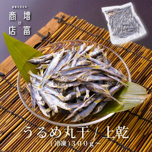 12/5 5̂̓|Cg10{I X[p[SALE  N[| zz Y xX ߂킵ۊ/㊣ iⓀj 300g 600g 900g 1200g 1500g ECV Ђ   Y lߍ