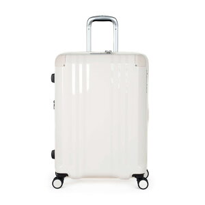 A.L.I �A�W�A���Q�[�W �f�J����Edge �g���^�C�v ALI-089-24W �e�ʁF70L(82L) 5�`7��