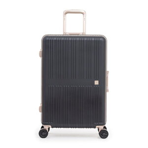 A.L.I �A�W�A���Q�[�W DL-5090-24 �h���[���E���C�g 64L