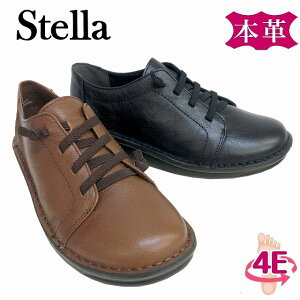 fB[XJWAV[Y SA[X JWAXj[J[ RtH[gV[Y  Xe Stella 4049 ubN L \tgU[ ʋΌC dC sV[Y