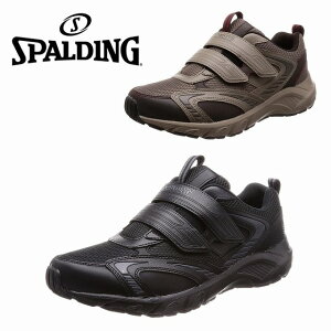 YXj[J[ EH[LOV[Y ALX SPALDING X|fBO JIN 3480 ubN Th Achille L  ʋΌC dC 