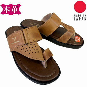  xn[T_Y T_ wbvT_ 2705 uE  VRv O { RtH[gT_ ItBX Г   ֗ 