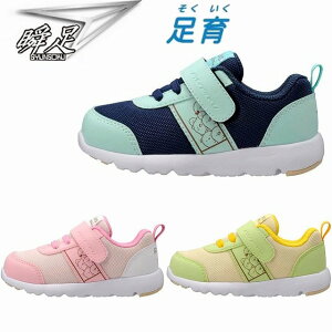 ݂R炵Xj[J[ LbYXj[J[ qXj[J[ ^C Shunsoku SKF 2500 lCr[ O[ sN 