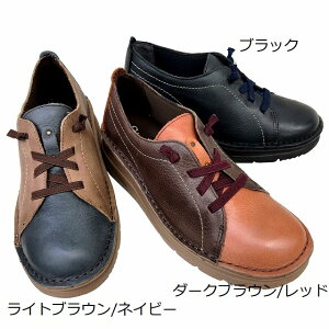 fB[XXj[J[ Xe Stella 5040 U[Xj[J[ 4e L Ch JWAXj[J[ JWAV[Y \tgU[ ʋ d ubN _[NuE/bh Cgu