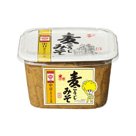 ますやみそ 麦こうじみそカップ（中甘）850g 麦味噌 みそ 味噌 麦みそ 麹 麦麹