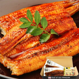 御中元 ギフト 丑の日にも！2個で500円OFFクーポン有！ [良型にほんうなぎ蒲焼き165g×2尾/タレ・山椒付][台湾産][2-4人前][ ウナギ / 鰻 ] うなぎ ギフト 送料無料 土用丑の日 食べ物 プレゼント うなぎ 蒲焼 人気商品 60代 70代 80代 贈り物