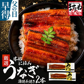 良型にほんうなぎ蒲焼き165g×豪華2尾セット/タレ・山椒付][台湾産][2-4人前][ウナギ/鰻] 父の日ギフト 送料無料 土用の丑の日 食品 食べ物 プレゼント 楽天スーパーSALE