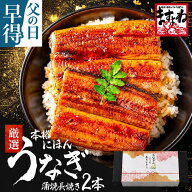 最大P10倍 値上げ前に＼父の日 ギフト プレゼント／にほんうなぎ蒲焼き140g×2尾 or 良型165g×2尾 or 特…