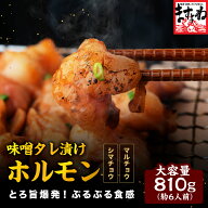 ＼最安値挑戦★2,490円送料無料／「ホルモン 味噌たれ」ホルモン焼き 6人前 810g-840g 小腸 ショウチョウ…