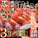 お中元 ギフト[グルメ大賞エビ部門3度受賞]子持ち越前甘えび500g[約35尾-40尾入]【送料無料】(無添加・無着色)【レビュー高評価4.63！】[えび/エビ... ランキングお取り寄せ