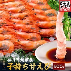 ギフト 御歳暮 プレゼント 2個で500円OFFクーポン有！ [グルメ大賞エビ部門3度受賞]【日本海産】子持ち越前甘えび500g[約30尾-40尾入](無添加・無着色)[ えび エビ 海老 甘エビ 刺身 あまえび アマエビ ]お取り寄せ グルメ プチギフト