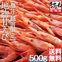 お中元 ギフトにも♪グルメ大賞受賞！子なし越前甘えび500g(無添加・無着色)(小サイズ)2-4人前[送料無料]【レビュー4.60！7,160件！本場越前磯の香... ランキングお取り寄せ