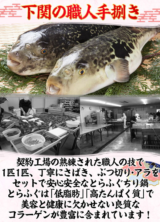 楽天市場 最安挑戦 3980円送料無料 ギフト 敦賀産とらふぐちりセット 約4人前 送料無料 ふぐ とらふぐ ふぐ刺し ふぐ セット フグ お歳暮 御歳暮 ギフト コロナ 応援 食品 プレゼント 食べ物 越前かに問屋 ますよね